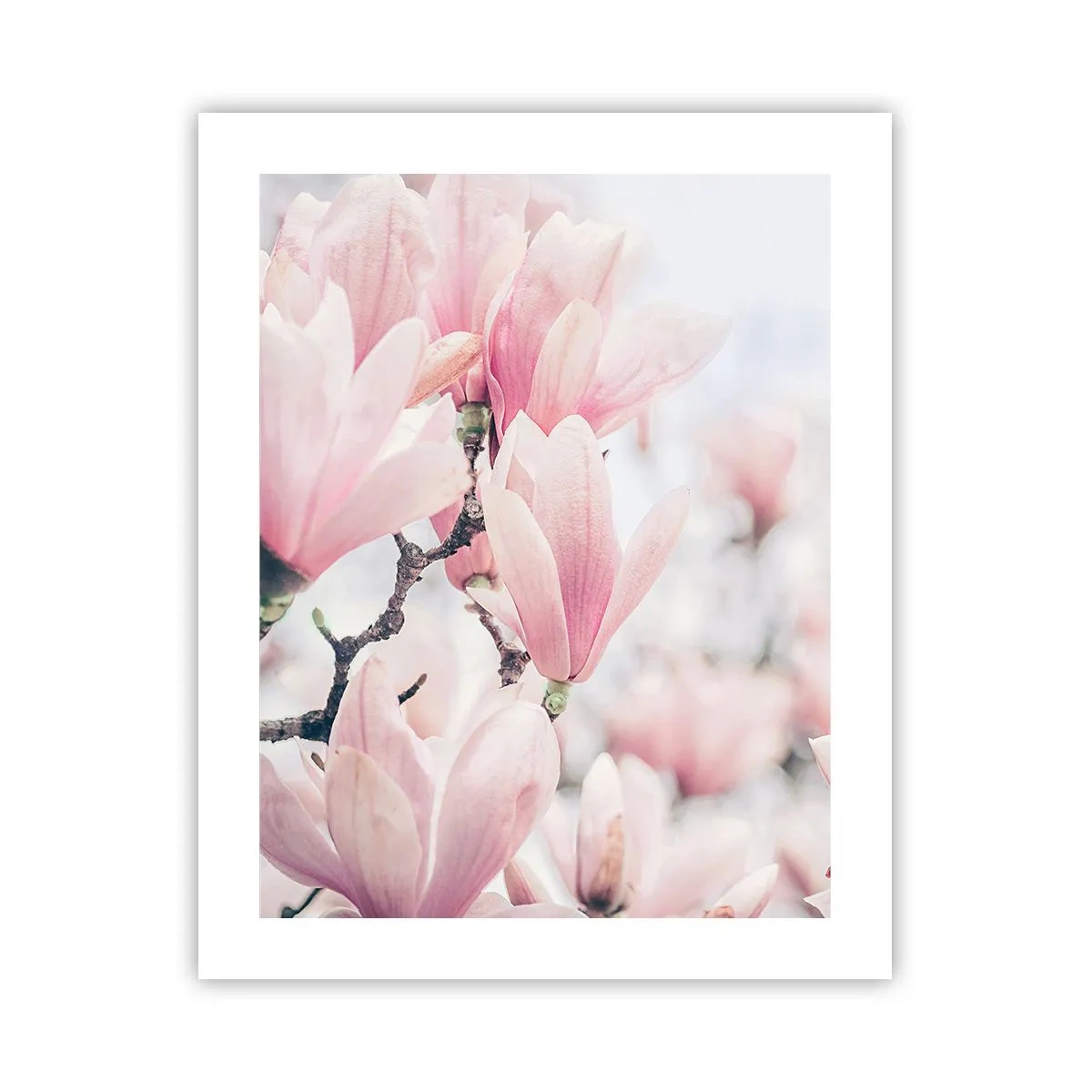 Plakat - Ideał subtelności - 40x50 cm