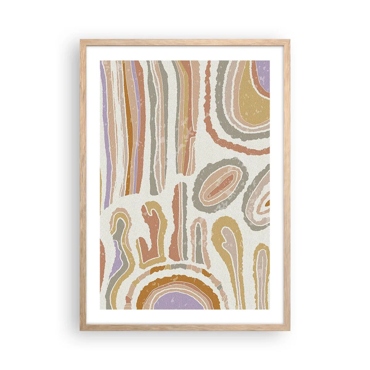 Plakat w ramie jasny dąb - Barwne przekroje - 50x70 cm