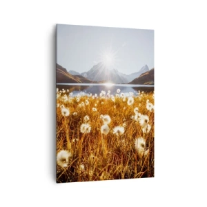 Obraz na płótnie - Pole bawełnianych traw na tle gór i jeziora w promieniach słońca - 70x100cm - Twardość skał, miękkość traw - Nowoczesna dekoracja ścienna do salonu i sypialni ARTTOR