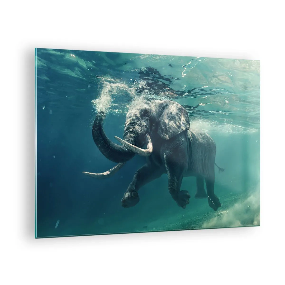 Obraz na szkle - Słoń pływający pod wodą w błękitnym oceanie - 70x50cm - Wszyscy lubią pływać - Nowoczesna dekoracja ścienna do salonu i sypialni ARTTOR