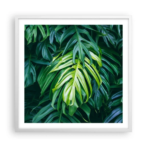 Plakat w białej ramie - Zanurzyć się w świeżości - 60x60 cm