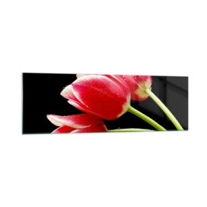 Obraz na szkle - Czerwone tulipany z kroplami rosy na czarnym tle - 160x50cm - Obietnica czystej miłości - Nowoczesna dekoracja ścienna do salonu i sypialni ARTTOR