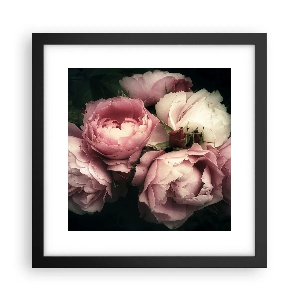 Plakat w czarnej ramie - Czar belle epoque - 30x30 cm