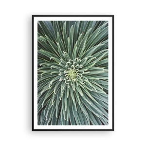 Plakat w czarnej ramie - Narodziny gwiazdy - 70x100 cm