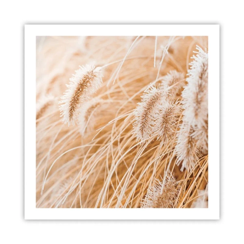 Plakat - Złoty szelest traw - 60x60 cm