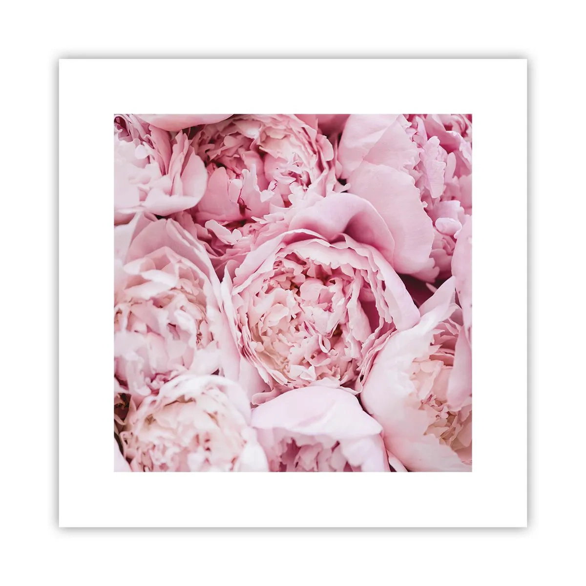 Plakat - Przytulone i pachnące - 30x30 cm