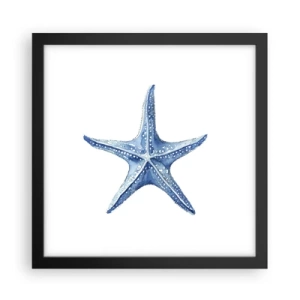 Plakat w czarnej ramie - Gwiazda morza - 30x30 cm