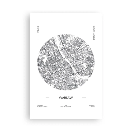 Plakat - Anatomia Warszawy - 61x91 cm