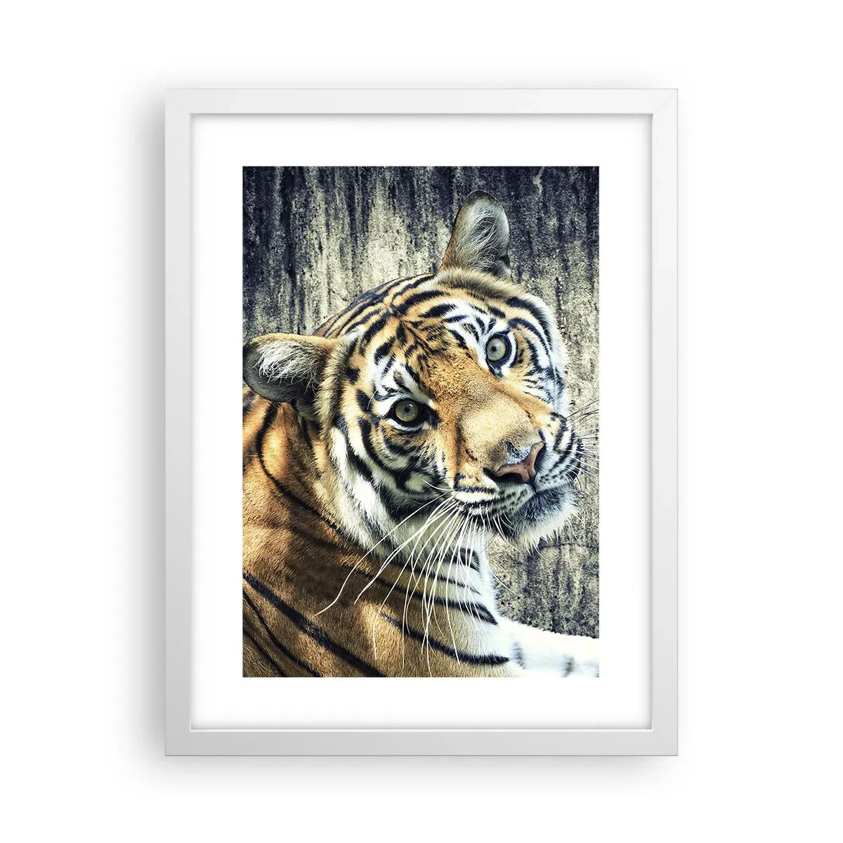 Plakat w białej ramie - Portret w strugach światła - 30x40 cm