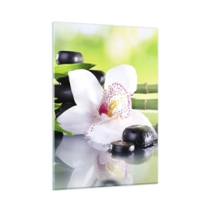 Obraz na szkle - Orchidea, bambus i czarne kamienie na tle zieleni - 50x70cm - Chłodna świeżość - Nowoczesna dekoracja ścienna do salonu, kuchni i sypialni ARTTOR