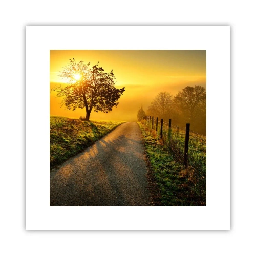 Plakat - Miodne popołudnie - 30x30 cm