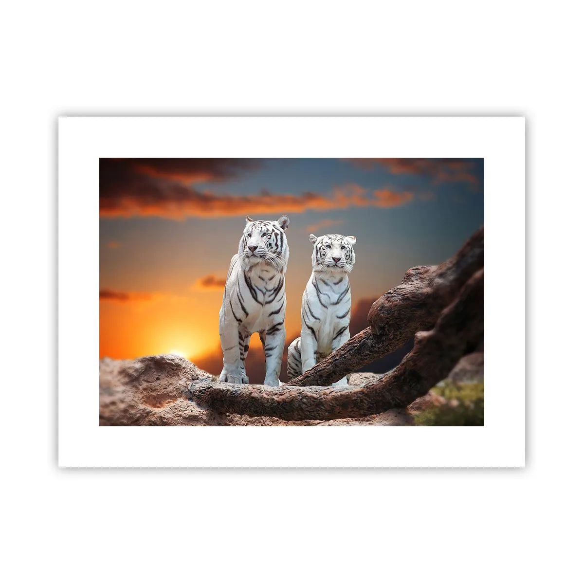 Plakat - Zupełnie jak w Narni - 40x30 cm