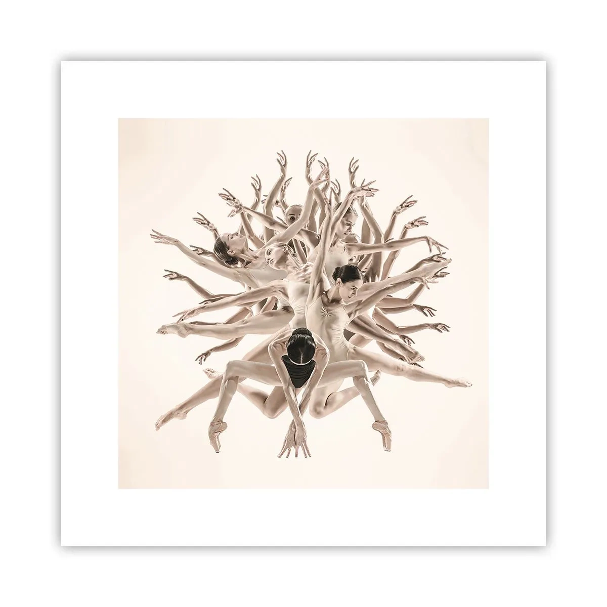 Plakat - Rozkwitanie w tańcu - 30x30 cm