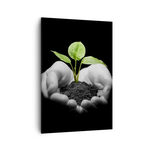 Obraz na płótnie - Dłonie trzymające zieloną roślinę na czarnym tle - 70x100cm - Kocham naturę, chronię ją - Nowoczesna dekoracja ścienna do salonu i sypialni ARTTOR