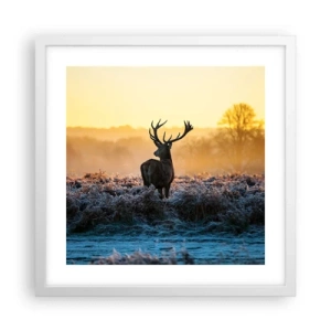 Plakat w białej ramie - Koronowany na swoich włościach - 40x40 cm