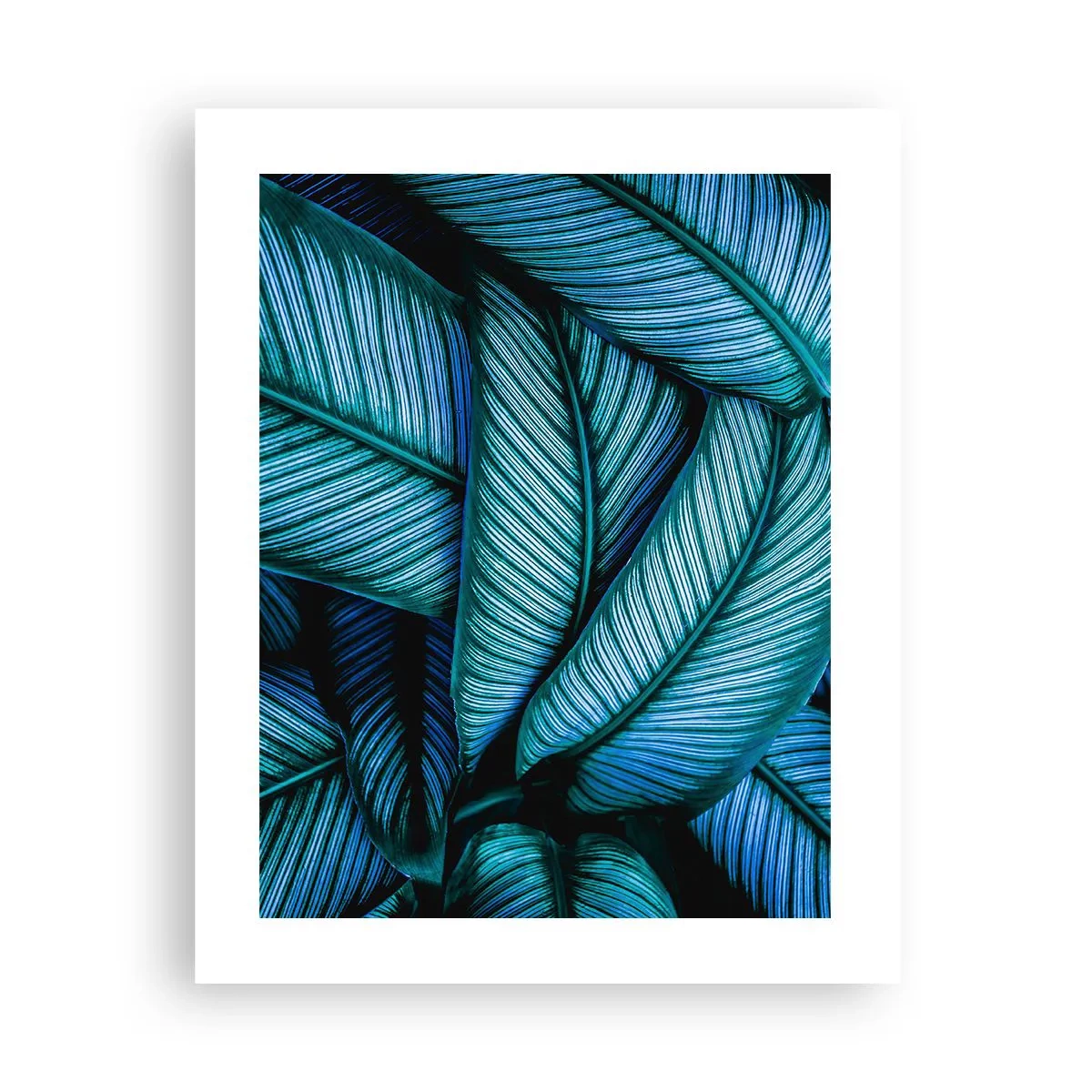 Plakat - Linie życia - 40x50 cm