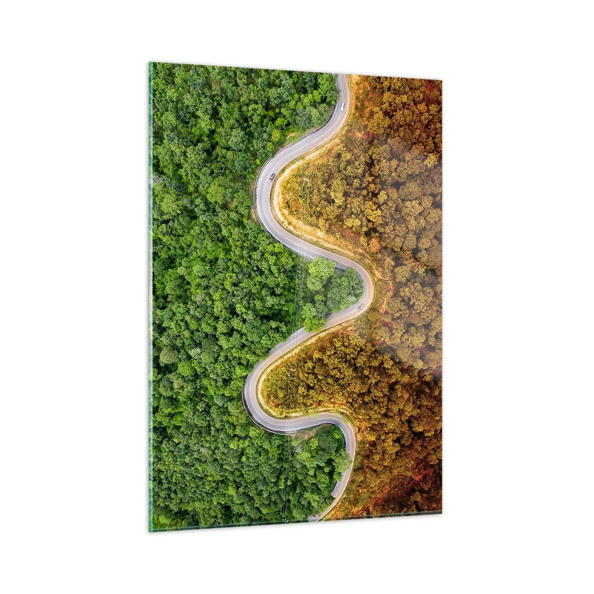 Obraz na szkle - Kręta droga wśród gęstego lasu widziana z lotu ptaka - 50x70cm - Granice i przełomy - Nowoczesna dekoracja ścienna do salonu, kuchni i sypialni ARTTOR