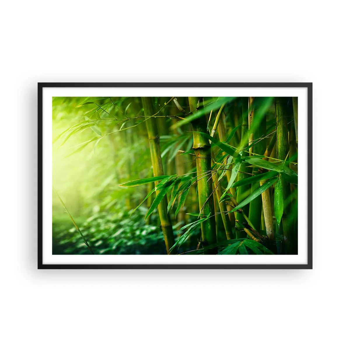 Plakat w czarnej ramie - Poznać zieleń samą w sobie - 91x61 cm