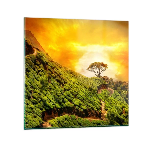 Obraz na szkle - Krętą ścieżką, zielonym zboczem - 60x60 cm