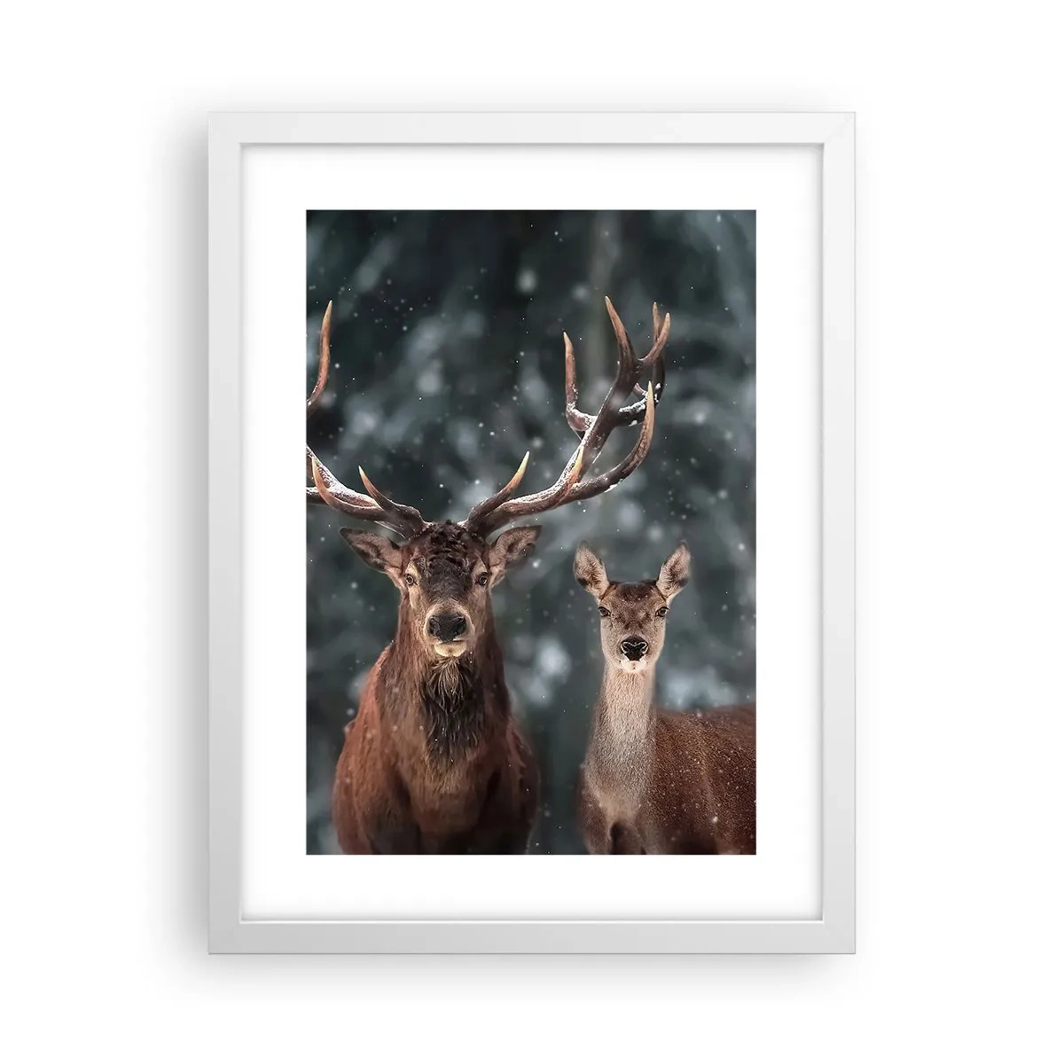 Plakat w białej ramie - Pan lasu z małżonką - 30x40 cm
