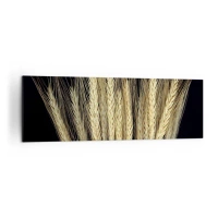 160x50 cm | Panorama