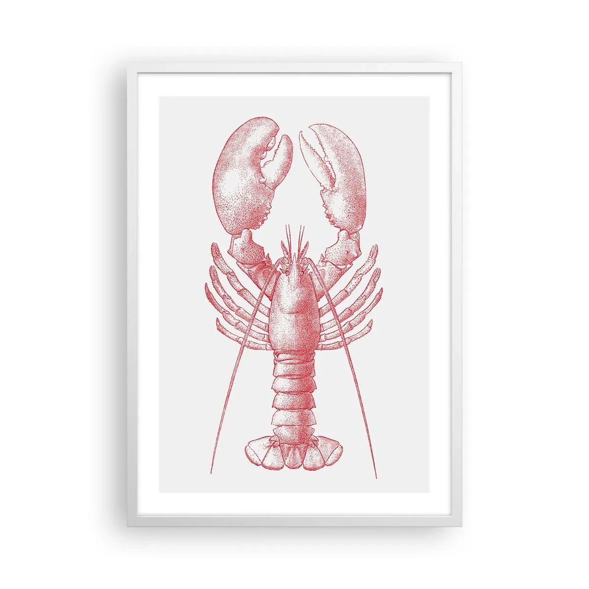 Plakat w białej ramie - Homar godny Homera - 50x70 cm