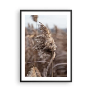 Plakat w czarnej ramie - Zbliżenie na suchą trzcinę w naturalnych odcieniach na tle nieba - 50x70cm - Czas odlecieć z wiatrem - Nowoczesna dekoracja ścienna do salonu i sypialni ARTTOR