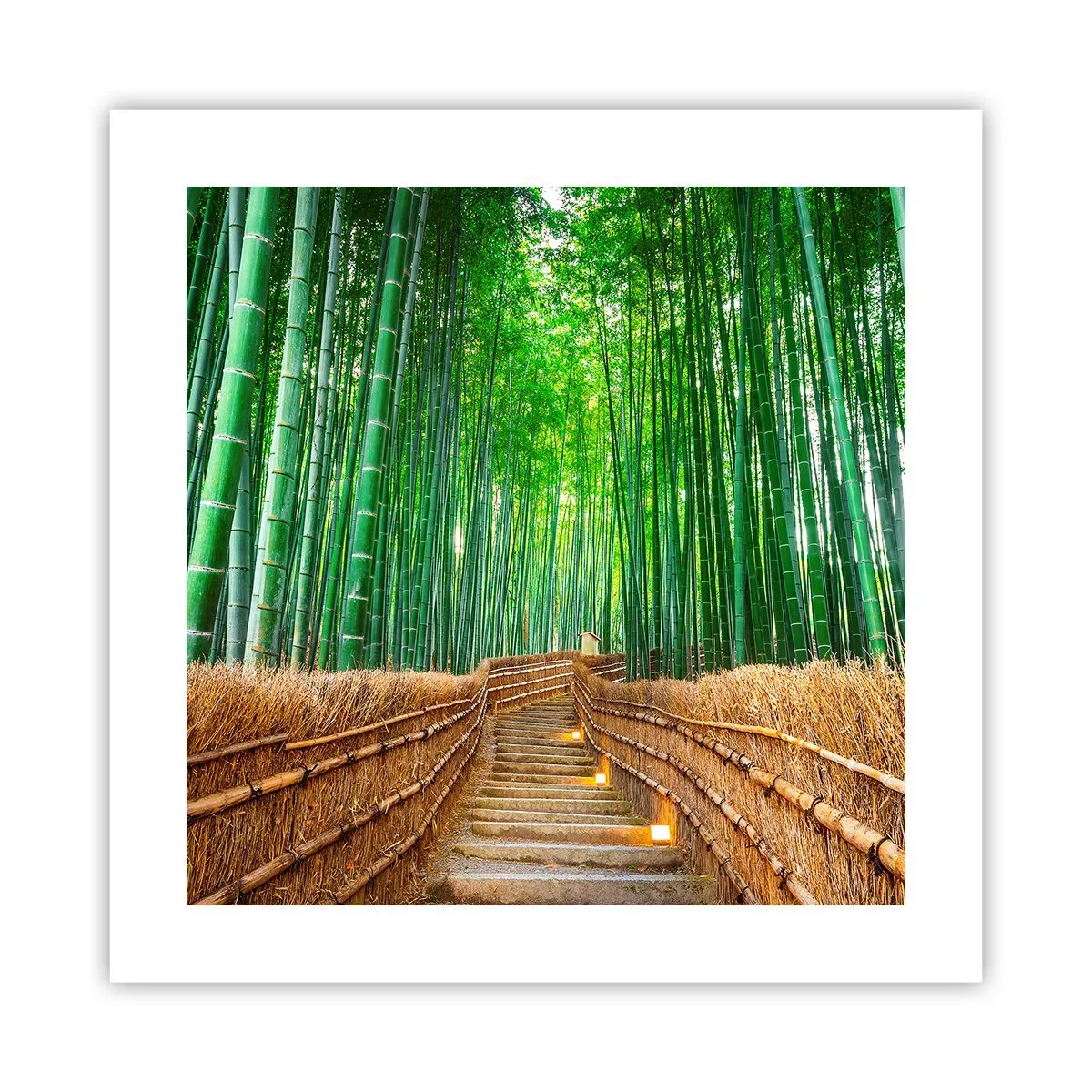 Plakat - Esencja azjatyckiej natury - 40x40 cm