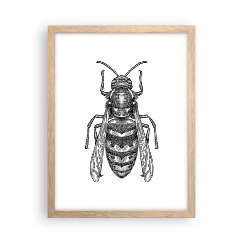 Plakat w ramie jasny dąb - Z owadziej planety - 30x40 cm