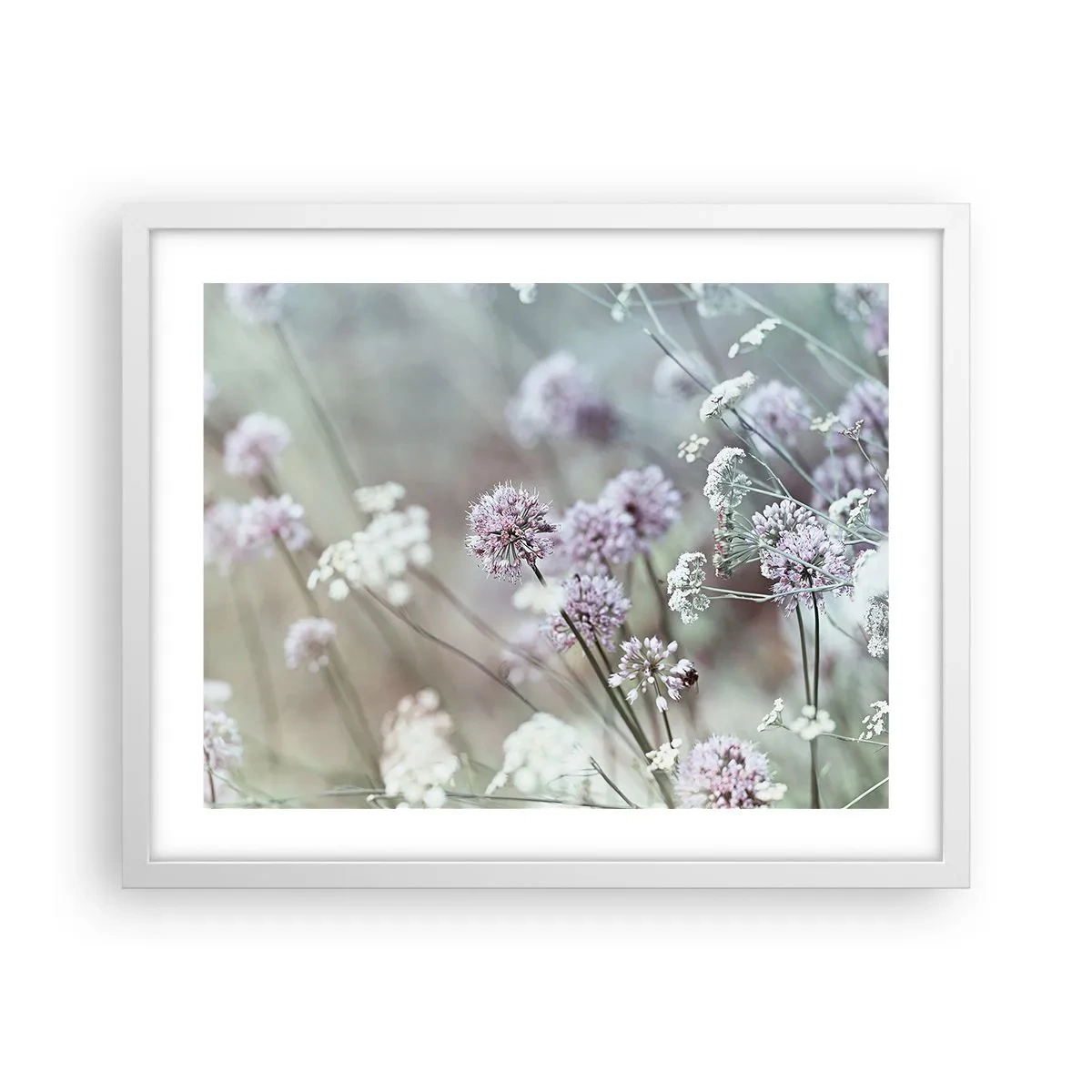 Plakat w białej ramie - Słodkie filigrany ziół - 50x40 cm