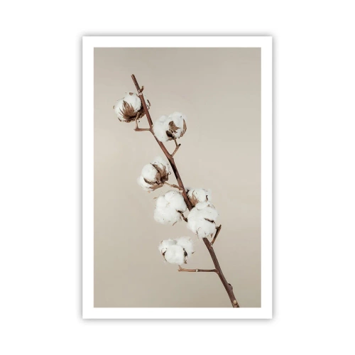 Plakat - U źródła miękkości - 61x91 cm