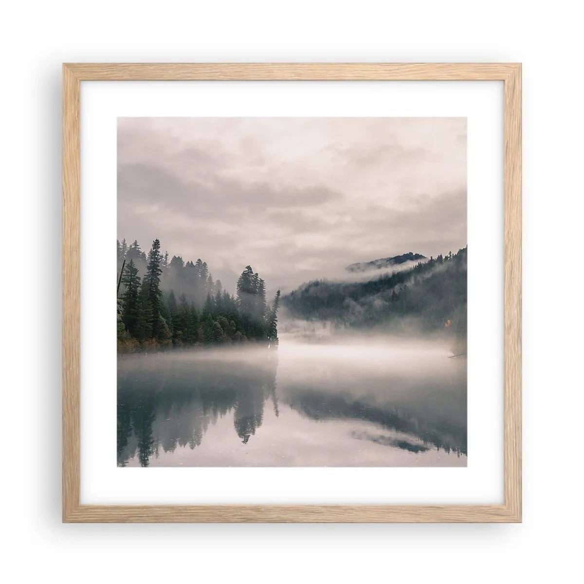 Plakat w ramie jasny dąb - W zadumie, we mgle - 40x40 cm