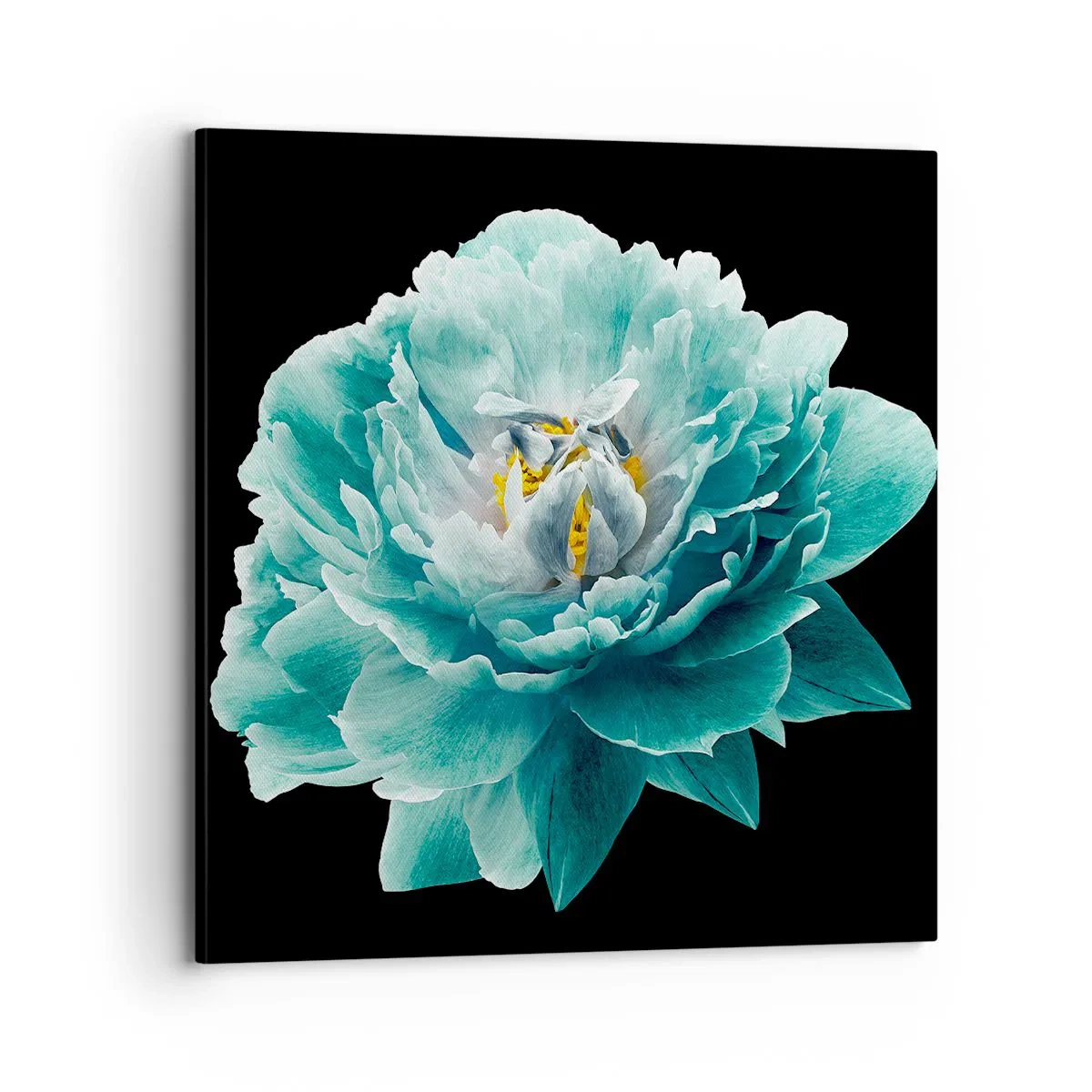 Obraz na płótnie - Płatki błękitne i złote - 70x70 cm