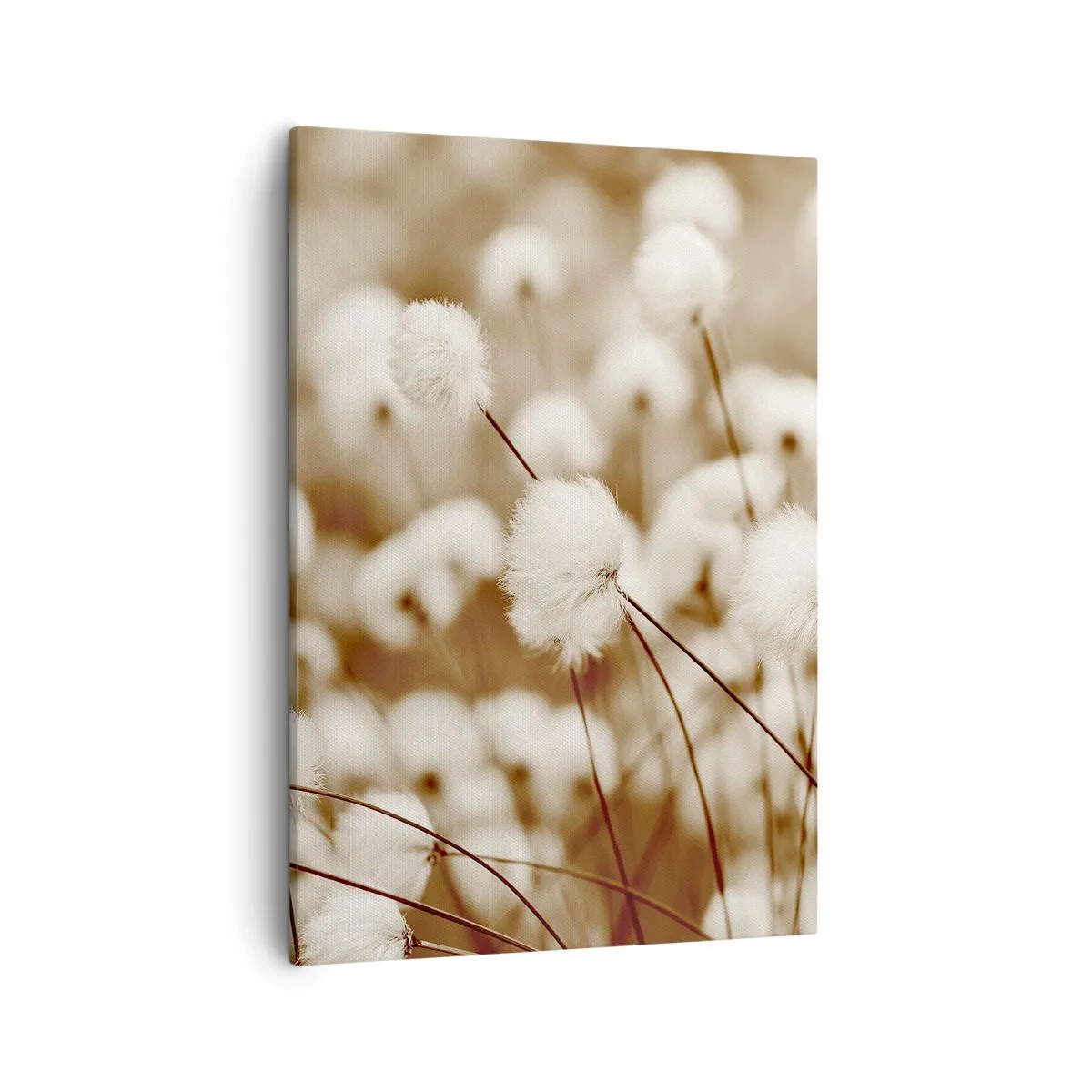 Obraz na płótnie - Pole puszystych traw w ciepłych odcieniach beżu - 50x70cm - Puszysty łan - Nowoczesna dekoracja ścienna do salonu, kuchni i sypialni ARTTOR