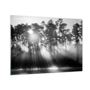 Obraz na szkle - Czarno-białe drzewa w lesie z promieniami słońca w mgiełce - 100x70cm - Niepowstrzymane słońce - Nowoczesna dekoracja ścienna do salonu, kuchni i sypialni ARTTOR