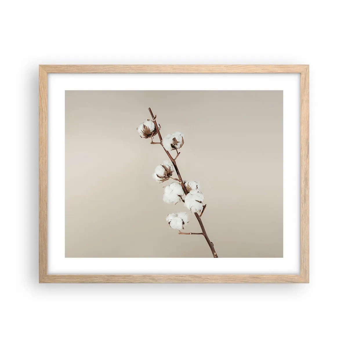 Plakat w ramie jasny dąb - U źródła miękkości - 50x40 cm