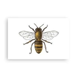 Plakat - Piękna i dobra - 91x61 cm