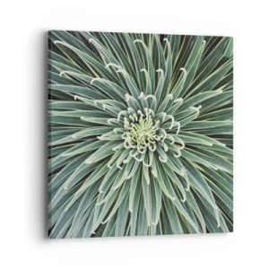 Obraz na płótnie - Narodziny gwiazdy - 40x40 cm