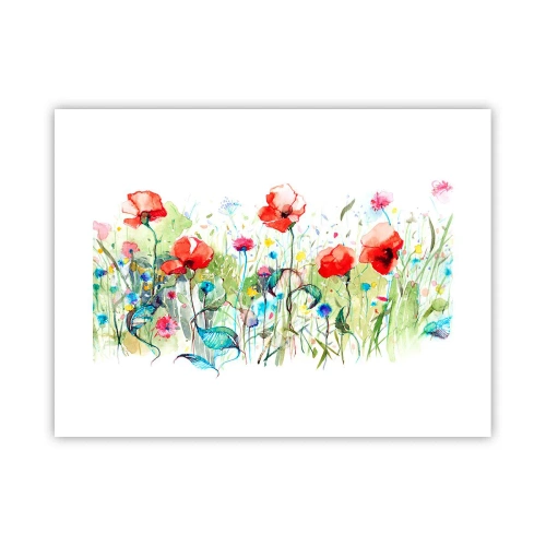 Plakat - Kwitnąca majem łąka - 40x30 cm