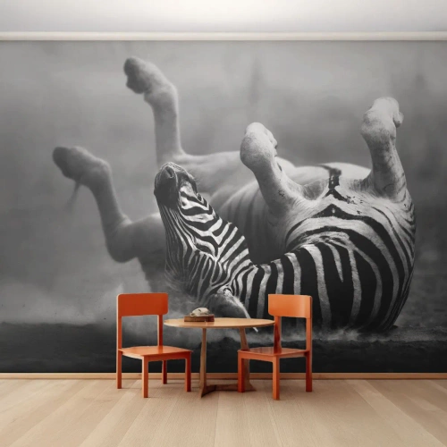 Fototapeta Premium Sand - Nie tylko koń by się uśmiał - Zwierzęta, Zebra, Natura - 200x140 cm