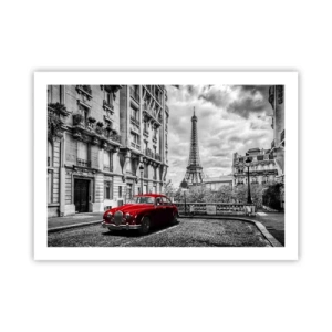 Plakat - Drapieżnik w mieście - 70x50 cm