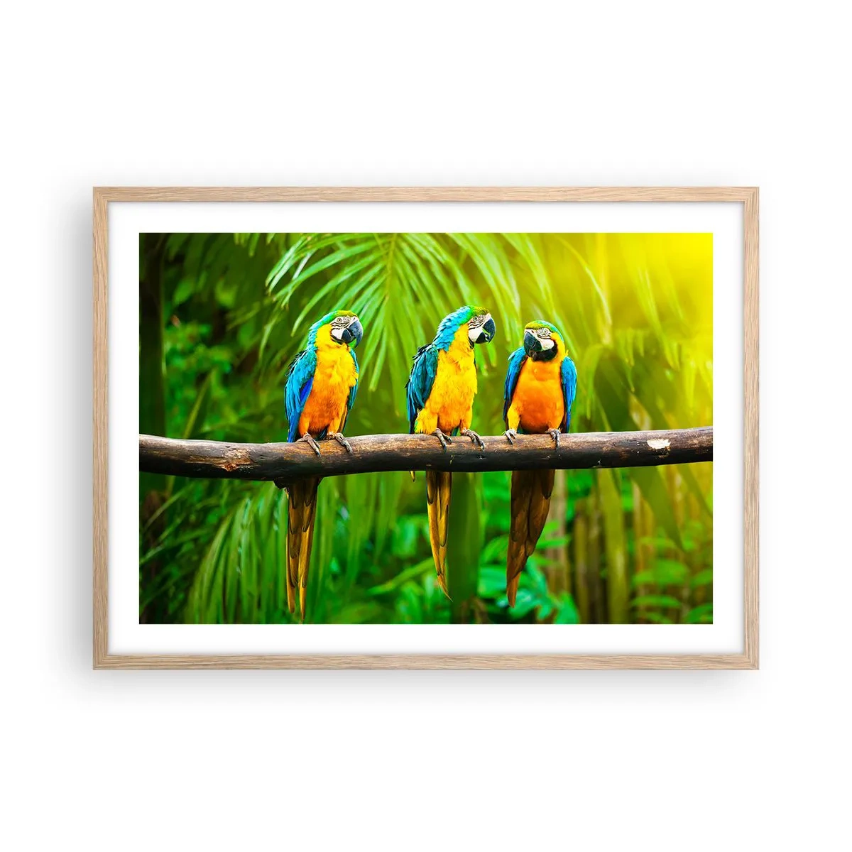 Plakat w ramie jasny dąb - A słyszałaś, że ona…? - 70x50 cm