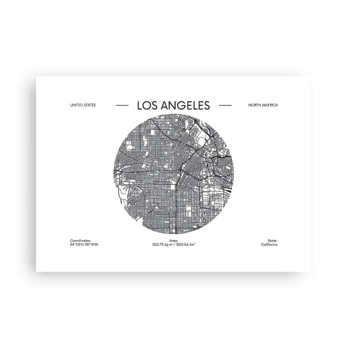 Plakat - Anatomia Los Angeles - 70x50 cm