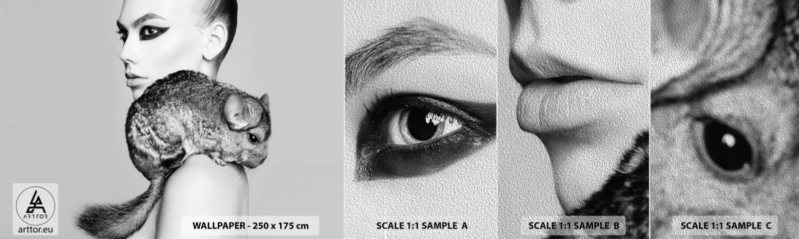Fototapeta Próbka Premium Sand - Dama z szynszylą - Kobieta, Kobieta Z Szynszylą, Modelka - 100x30 cm