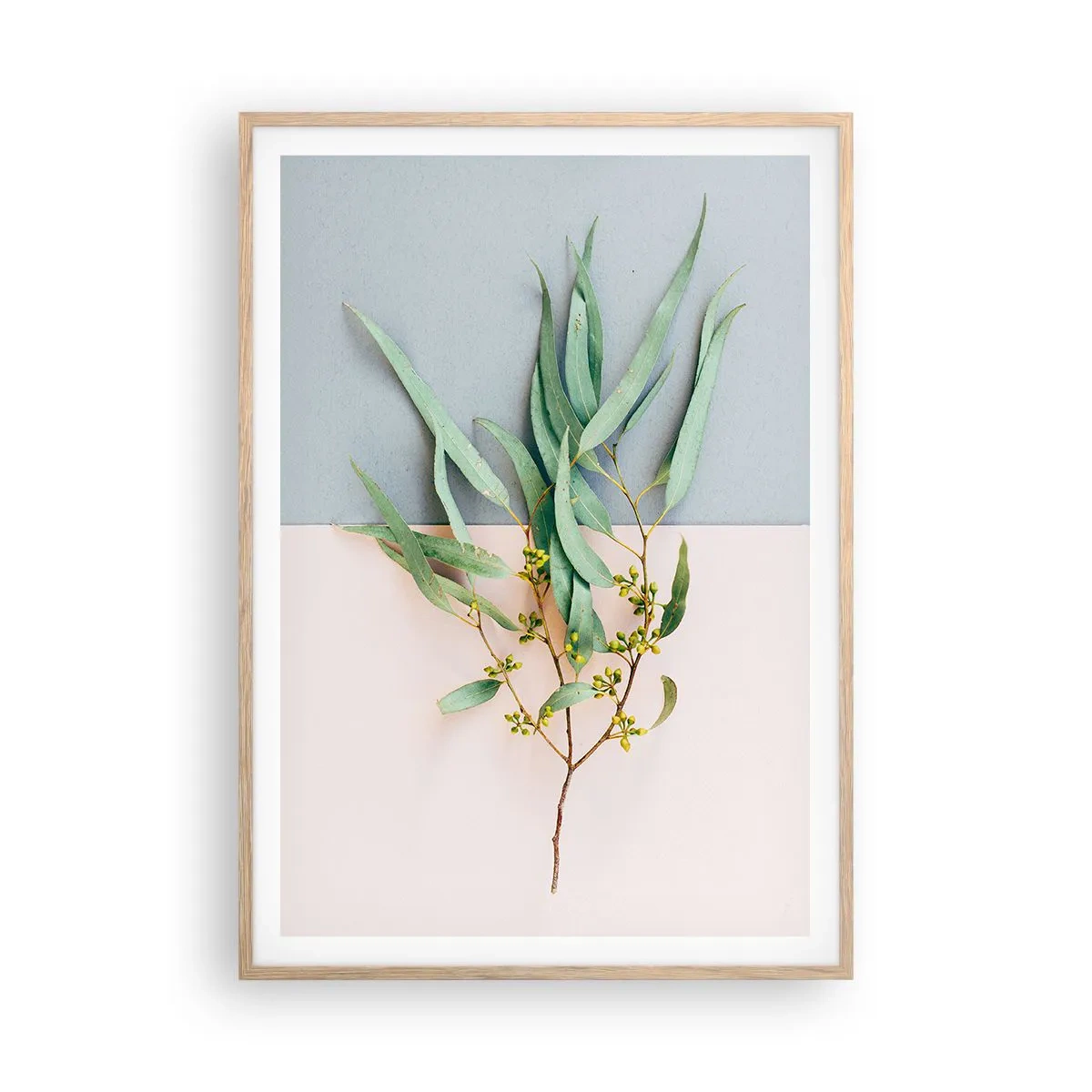 Plakat w ramie jasny dąb - Pastelowa subtelność - 70x100 cm