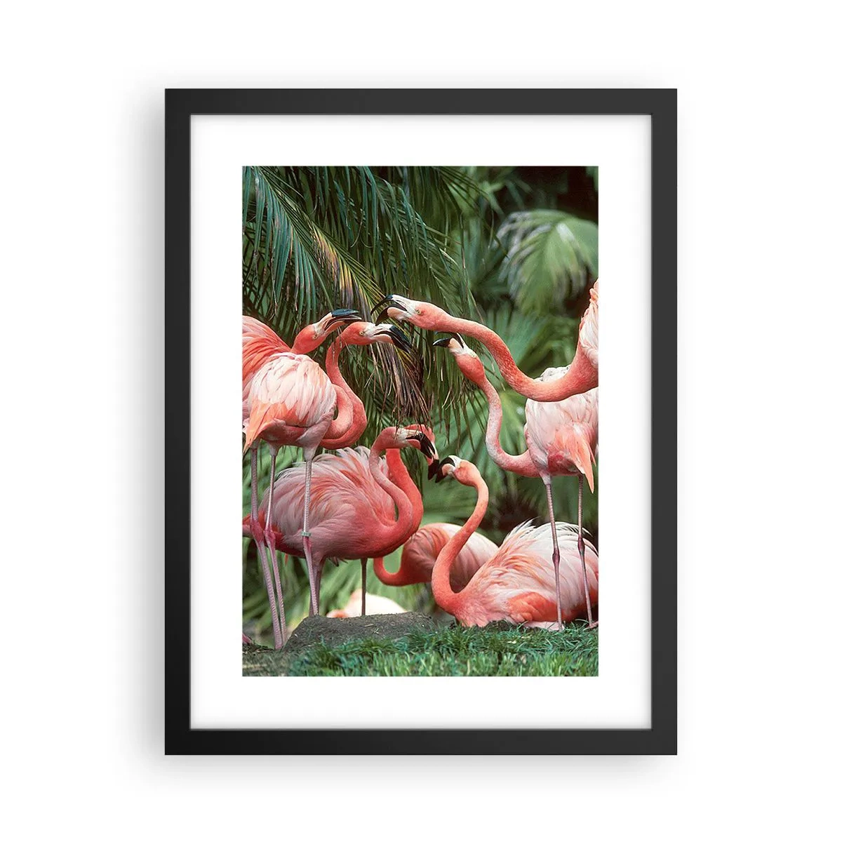 Plakat w czarnej ramie - Popołudniowe ploteczki - 30x40 cm