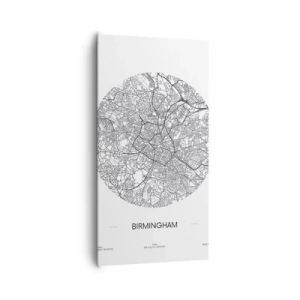 Obraz na płótnie - Anatomia Birmingham - 65x120 cm