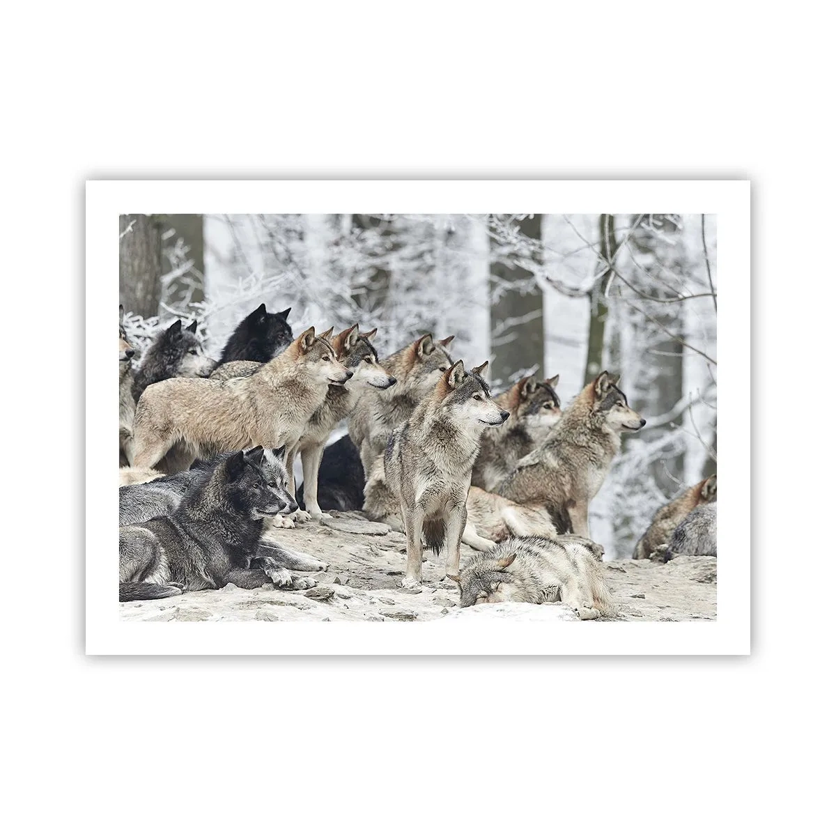 Plakat - Rodzina i przyjaciele - 70x50 cm