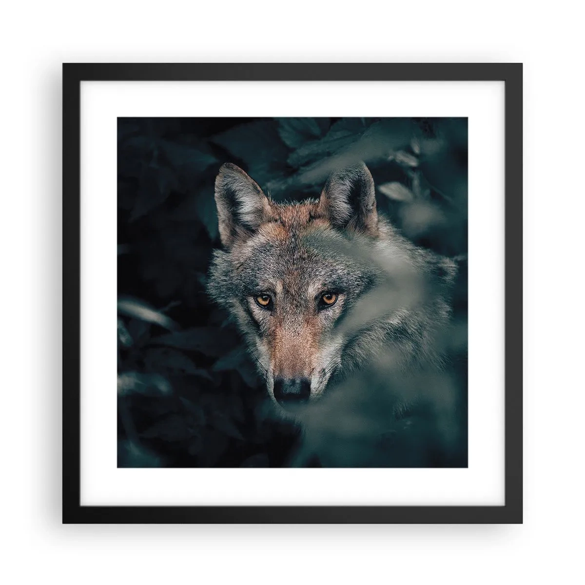 Plakat w czarnej ramie - Łowca - 40x40 cm