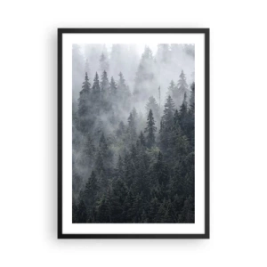 Plakat w czarnej ramie - Mglisty las z wysokimi drzewami iglastymi - 50x70cm - Leśny świt - Nowoczesna dekoracja ścienna do salonu i sypialni ARTTOR